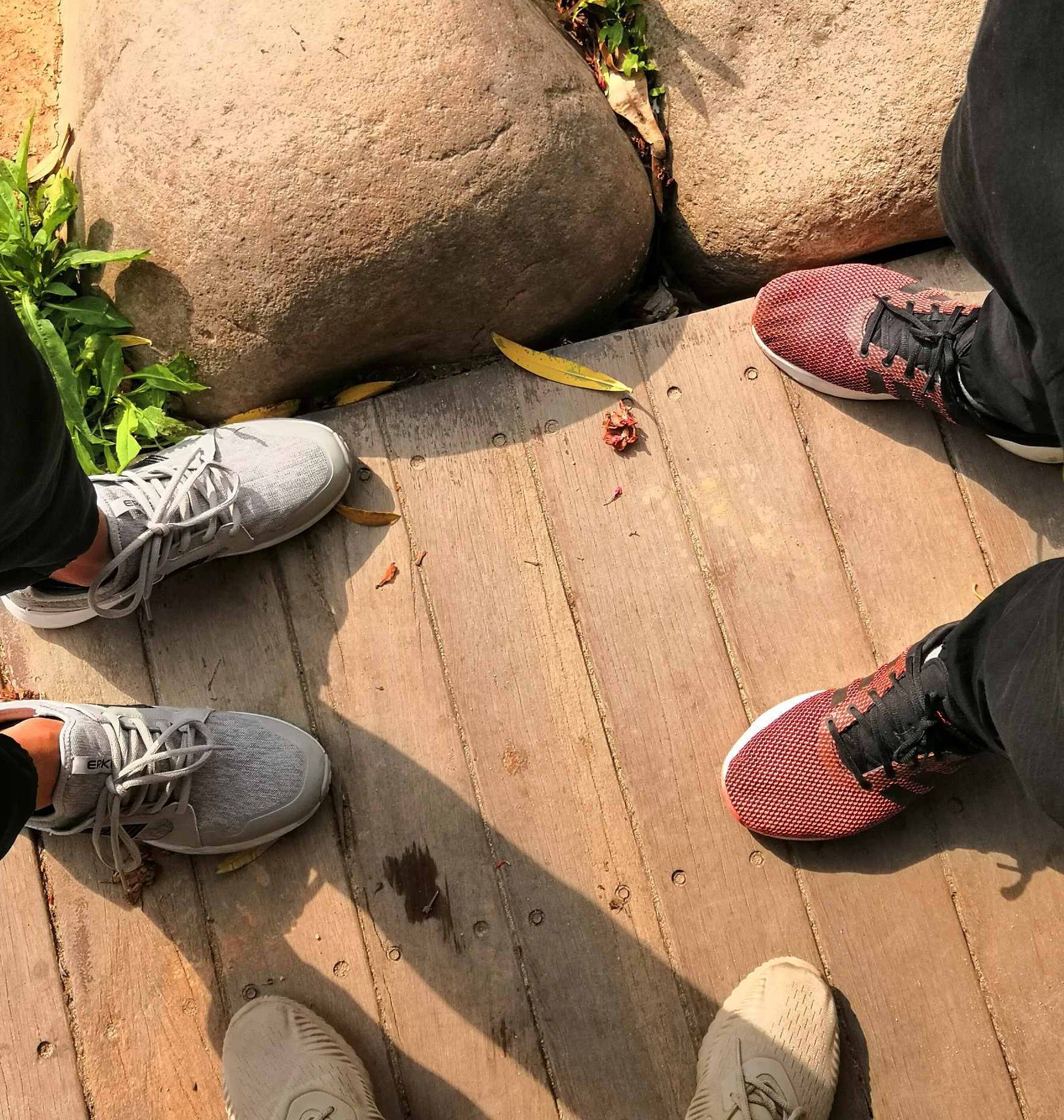 BRO JOURNEY-PLAYERCLUB